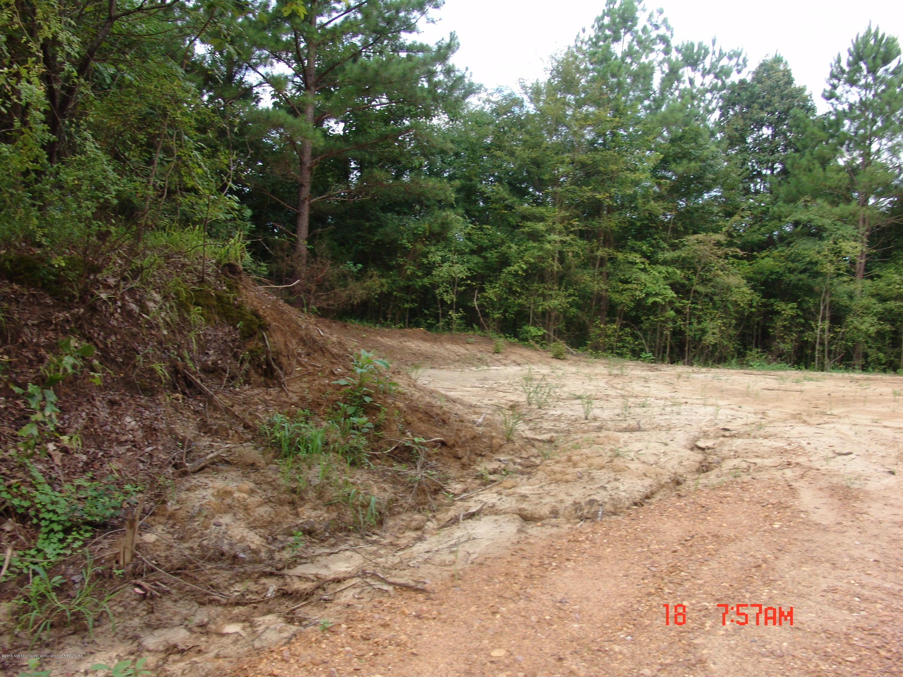0 Sandy Branch Road Sarah, MS 38665 - Photo 2 of 13 DSC09704