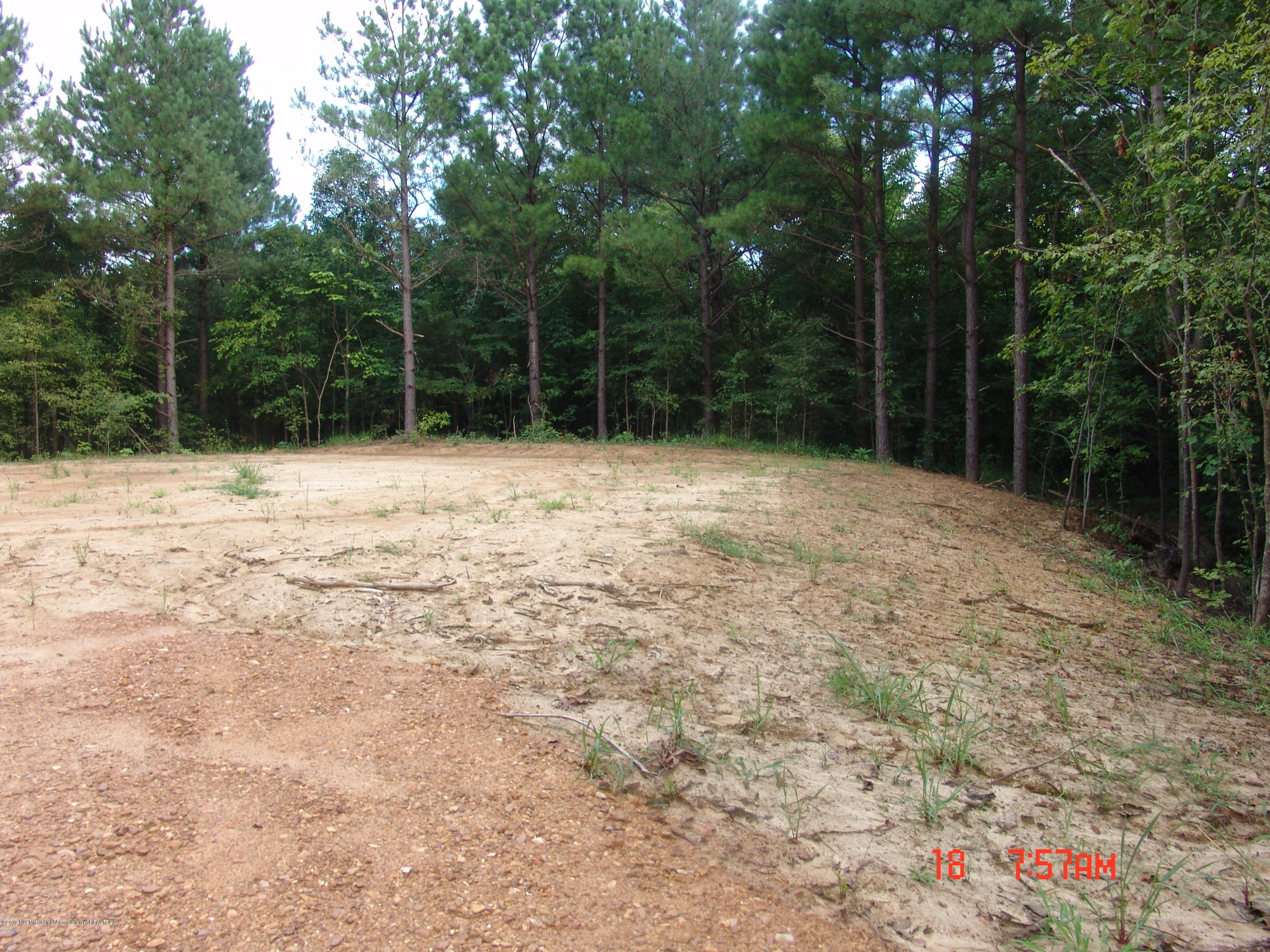 0 Sandy Branch Road Sarah, MS 38665 - Photo 3 of 13 DSC09705