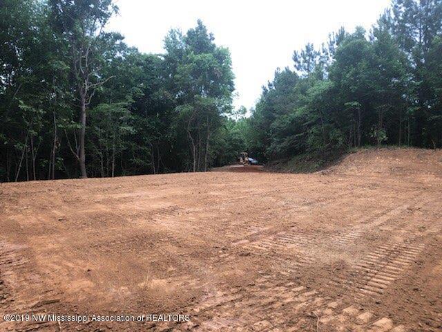 0 Sandy Branch Road Sarah, MS 38665 - Photo 5 of 13 sandy branch 1