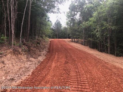 0 Sandy Branch Road Sarah, MS 38665 - Photo 8 of 13 sandy branch 3