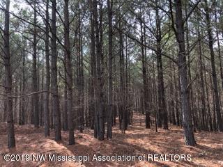 0 Sandy Branch Road Sarah, MS 38665 - Photo 10 of 13 sandy branch 5