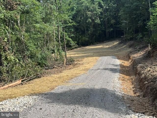Tbd Locust Grove Road Thornton, WV 26440 - Photo 4 of 24