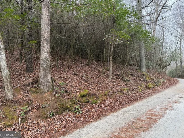 $39,900 | Lot 20 Ideal Acres, Otto, NC 28763