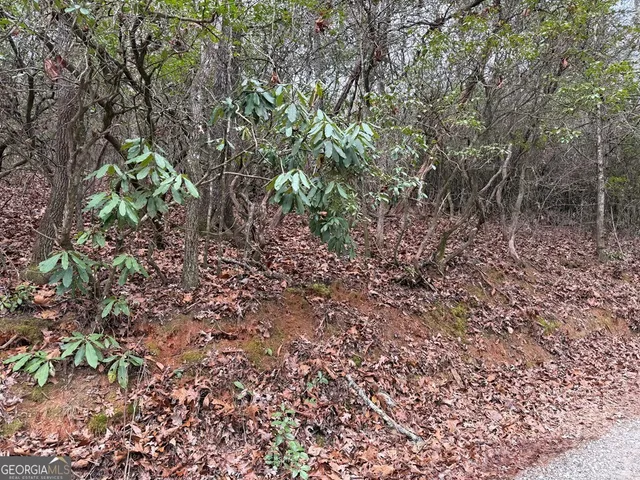 $39,900 | Lot 20 Ideal Acres, Otto, NC 28763