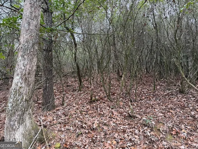 $39,900 | Lot 20 Ideal Acres, Otto, NC 28763