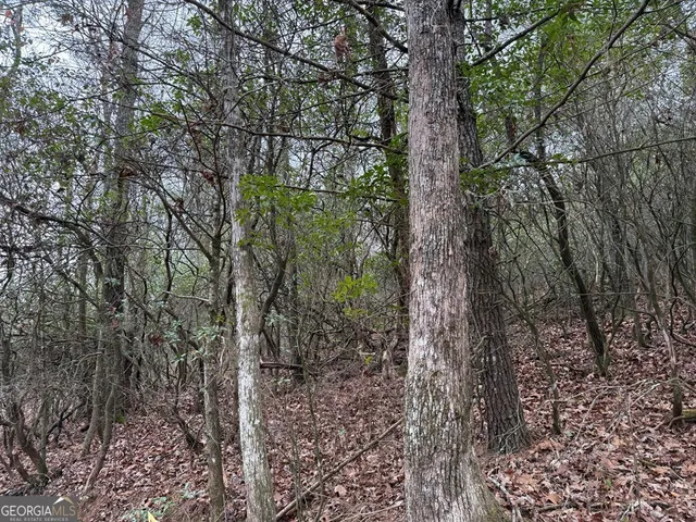 $39,900 | Lot 20 Ideal Acres, Otto, NC 28763