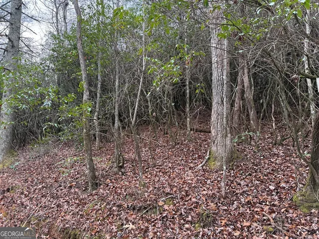 $39,900 | Lot 20 Ideal Acres, Otto, NC 28763