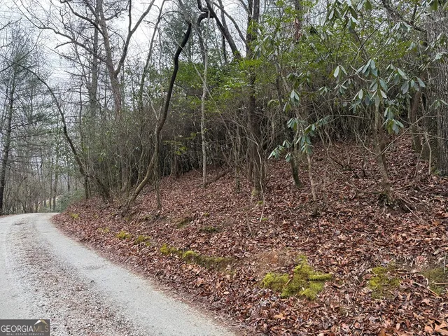 $39,900 | Lot 20 Ideal Acres, Otto, NC 28763