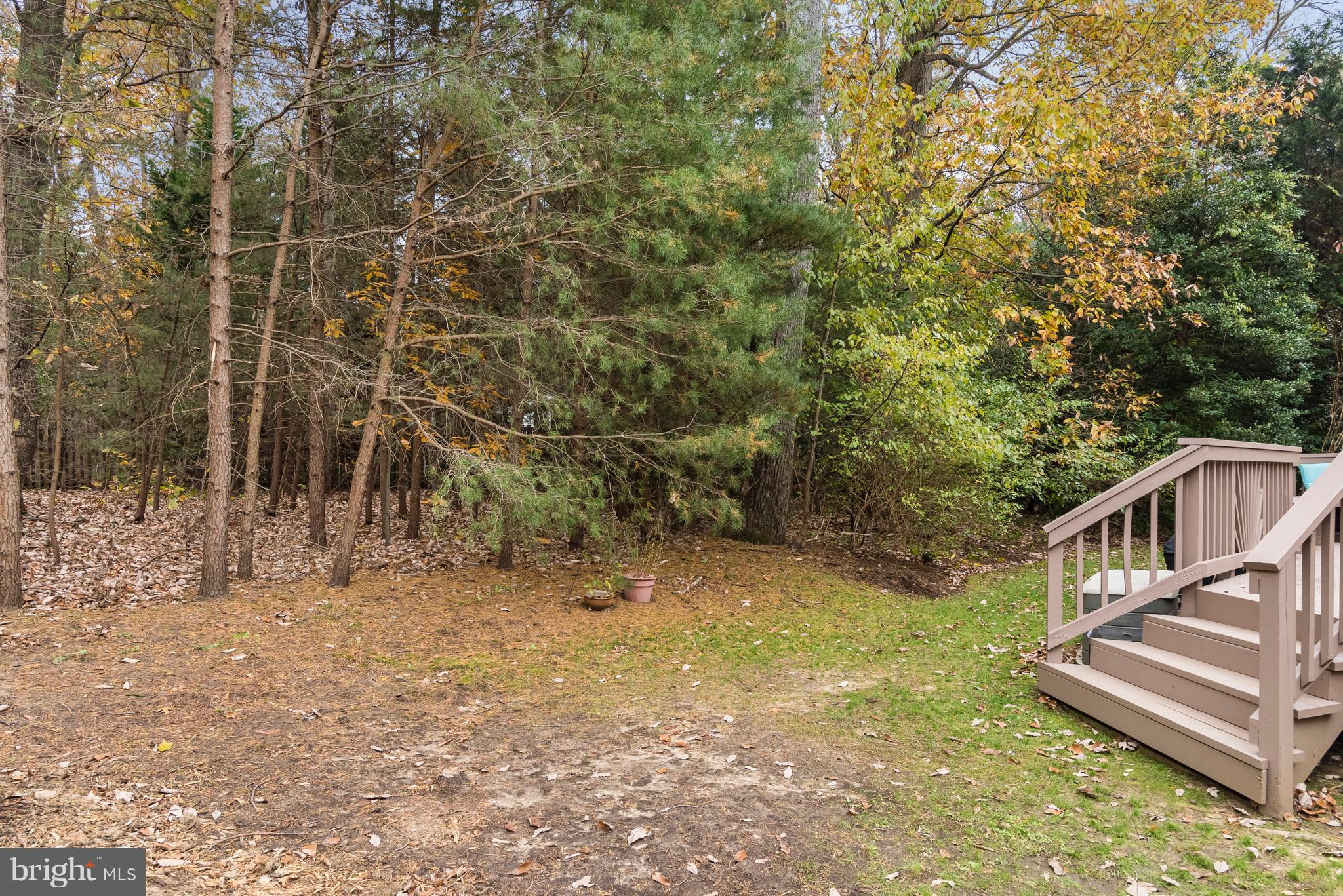 410 Riding Ridge Road Annapolis, MD 21403 - Photo 22 of 27 Backs to woods