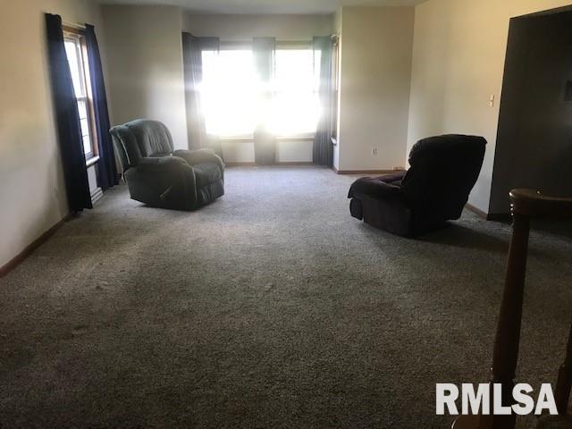 2001 13th Street Viola, IL 61486 - Photo 6 of 21 Gallery Image 6