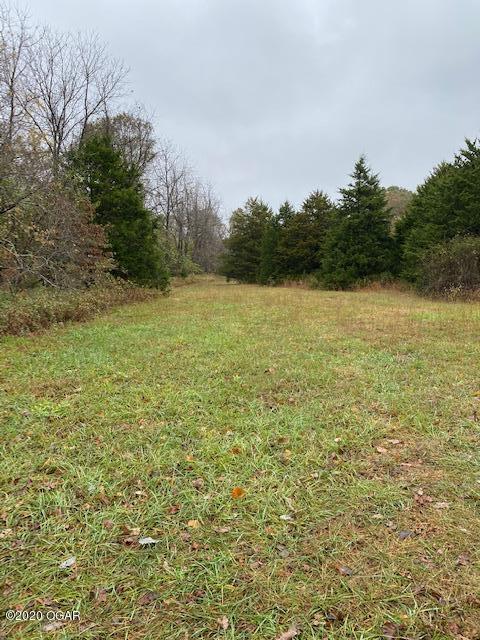 Xxx Southeast 375 Road Collins, MO 64738 - Photo 1 of 1 Gallery Image 1