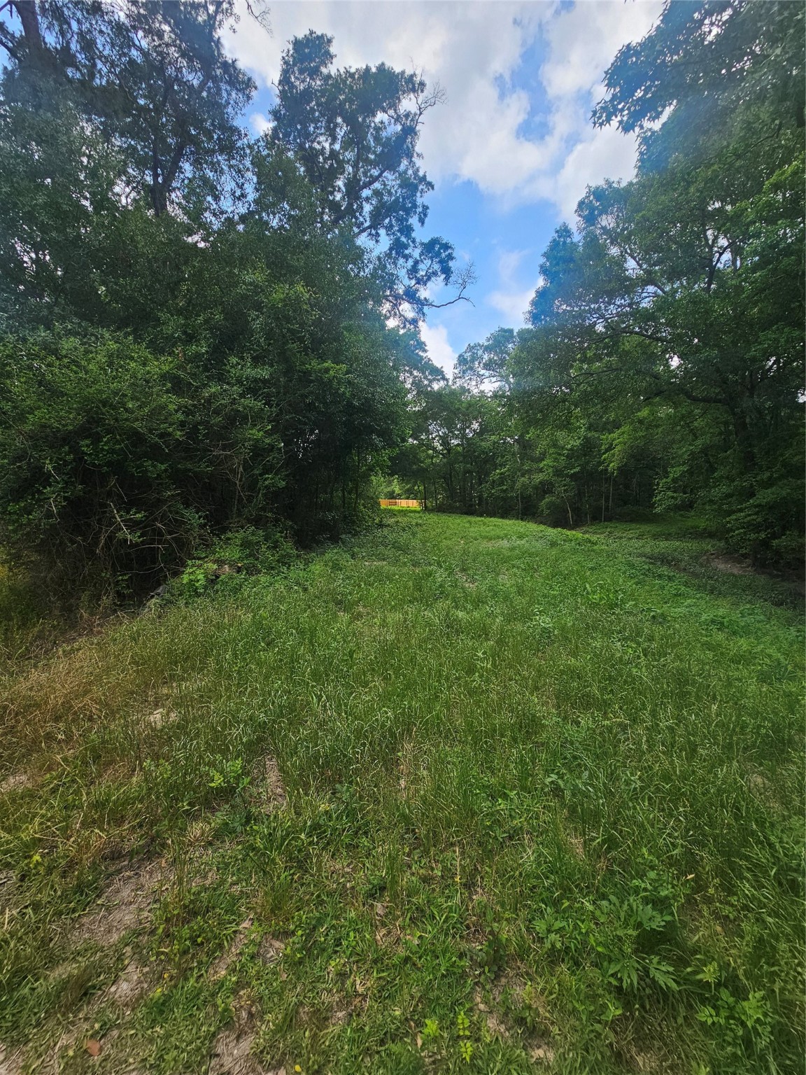 N/a Oldbury Road Vidor, TX 77662 - Photo 5 of 10