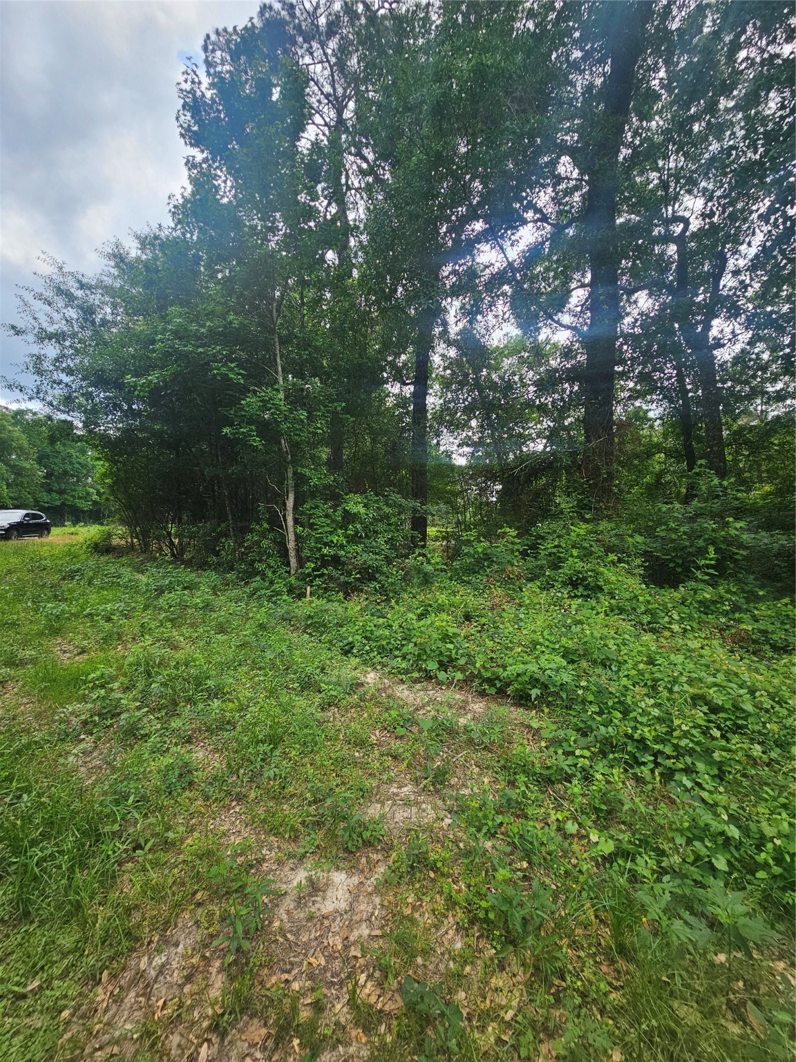 N/a Oldbury Road Vidor, TX 77662 - Photo 8 of 10