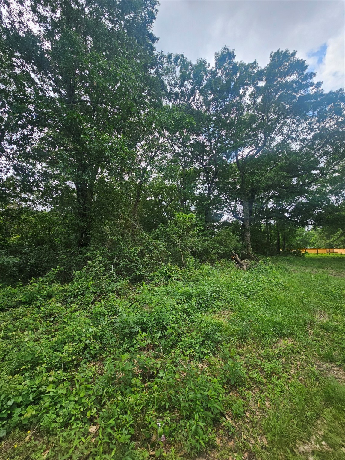 N/a Oldbury Road Vidor, TX 77662 - Photo 9 of 10