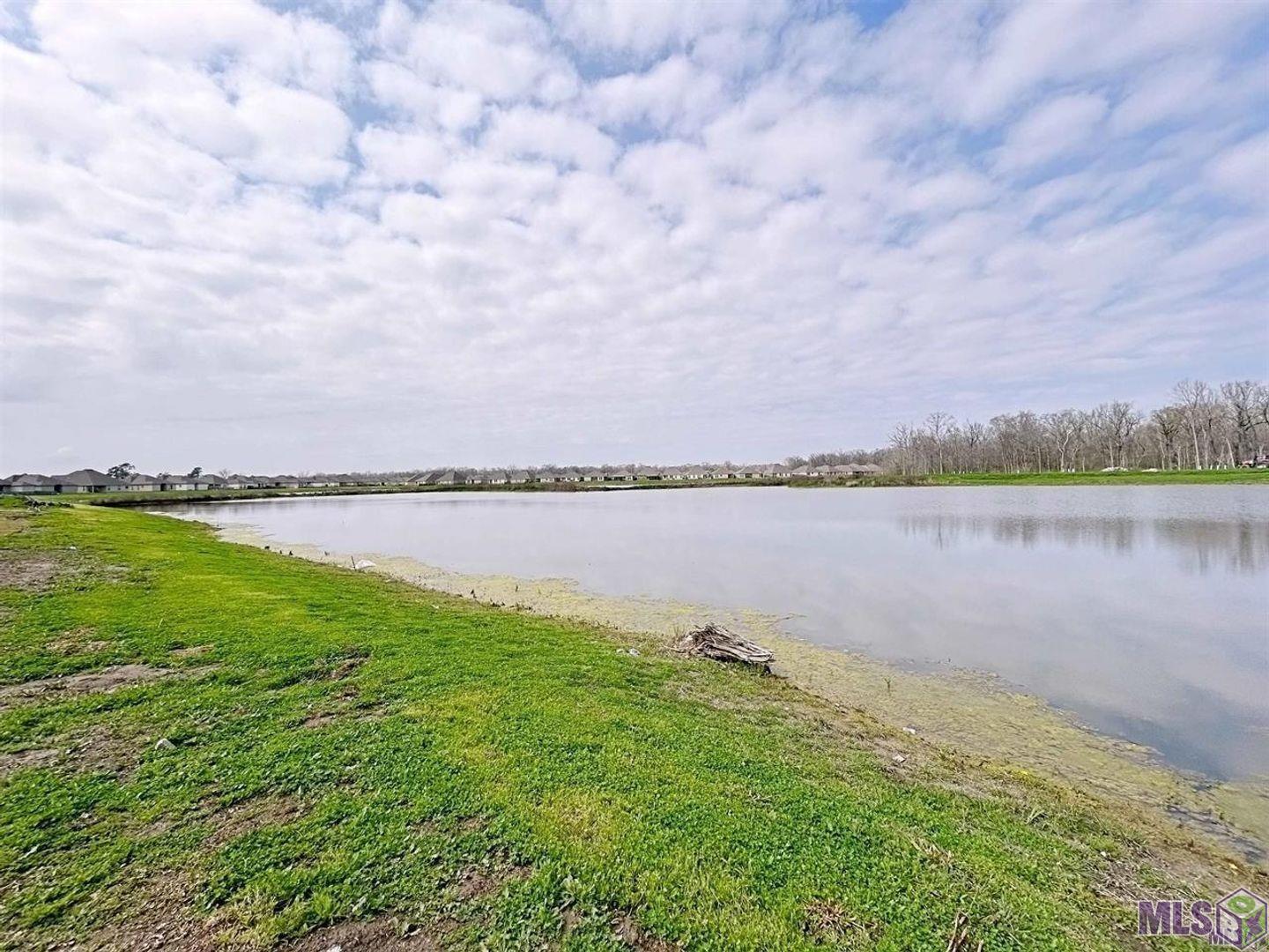 1237 Drago Drive Baton Rouge, LA 70820 - Photo 20 of 20