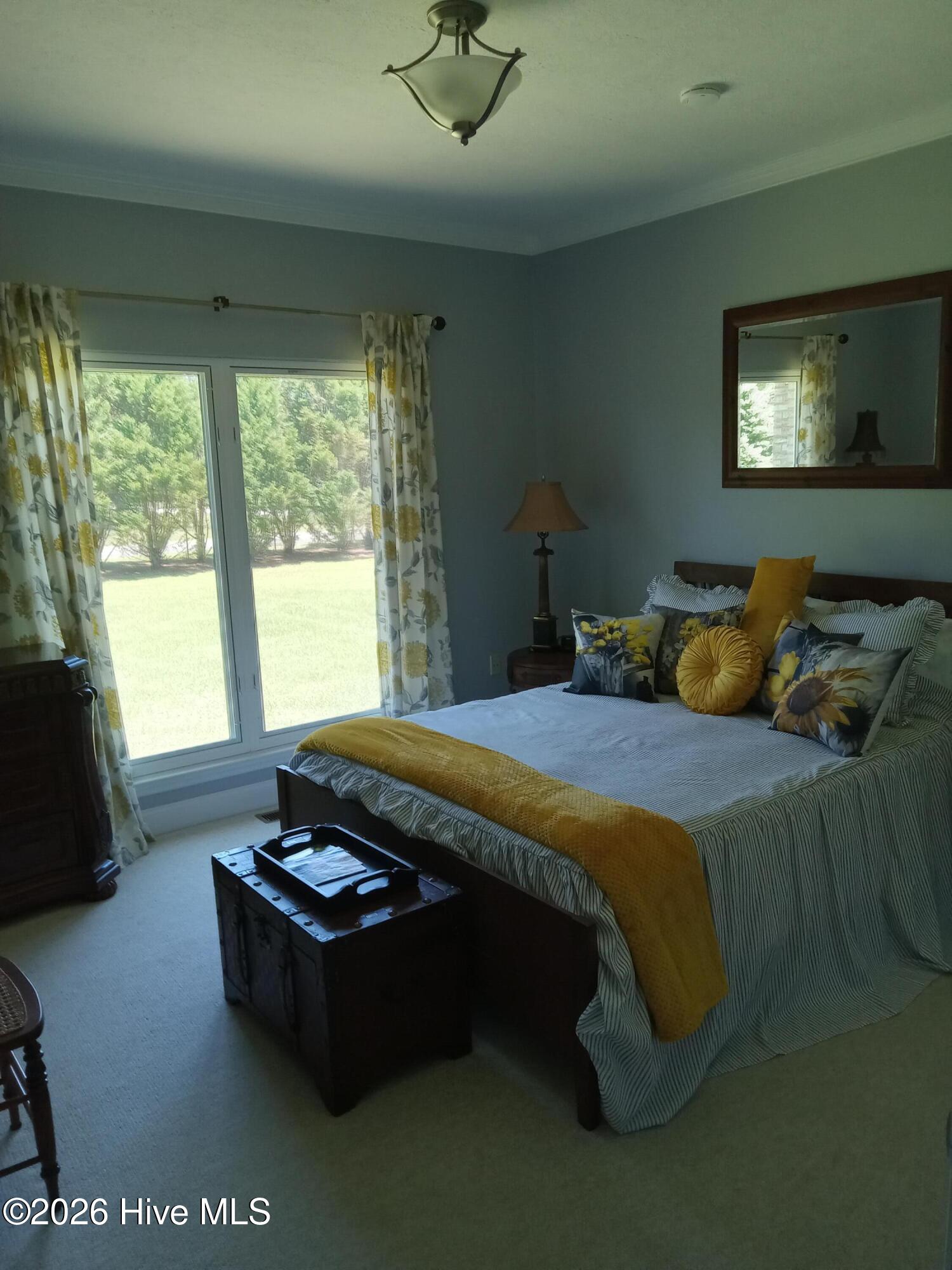 213 Woodward Lake Road Trenton, SC 29847 - Photo 20 of 48
