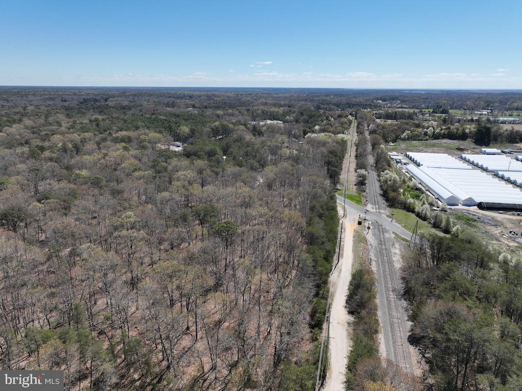 351 Shaws Mill Road Cedarville, NJ 08311 - Photo 34 of 84