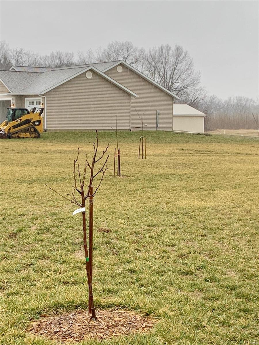 2617 Becker Road Highland, IL 62249 - Photo 23 of 23