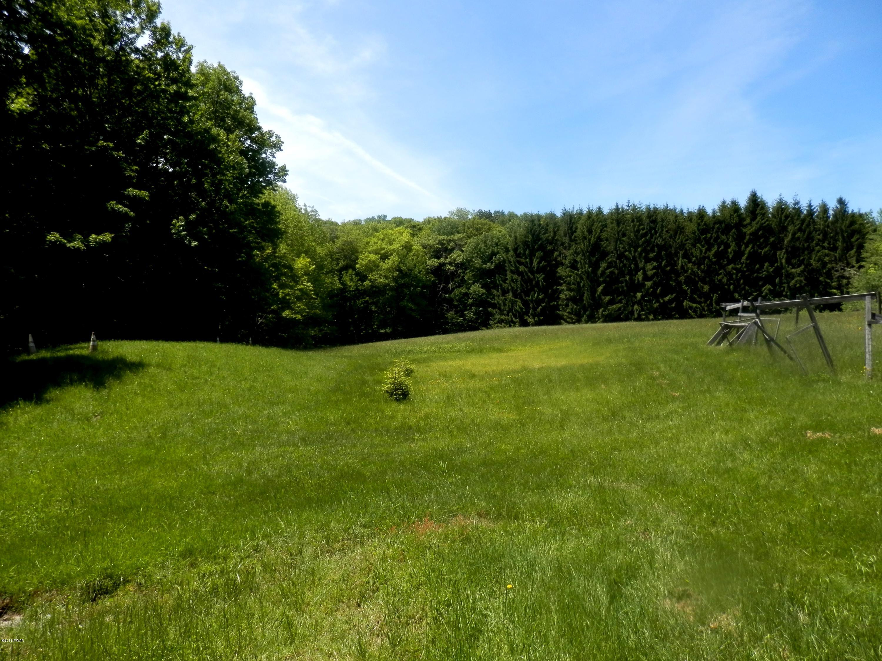323 Daw Road Pleasant Mount, PA 18453 - Photo 3 of 18 Backyard