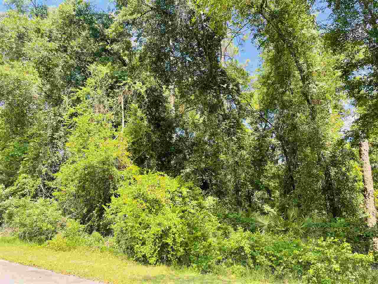 3297 Horseshoe Cove Road Waverly, GA 31565 - Photo 9 of 22