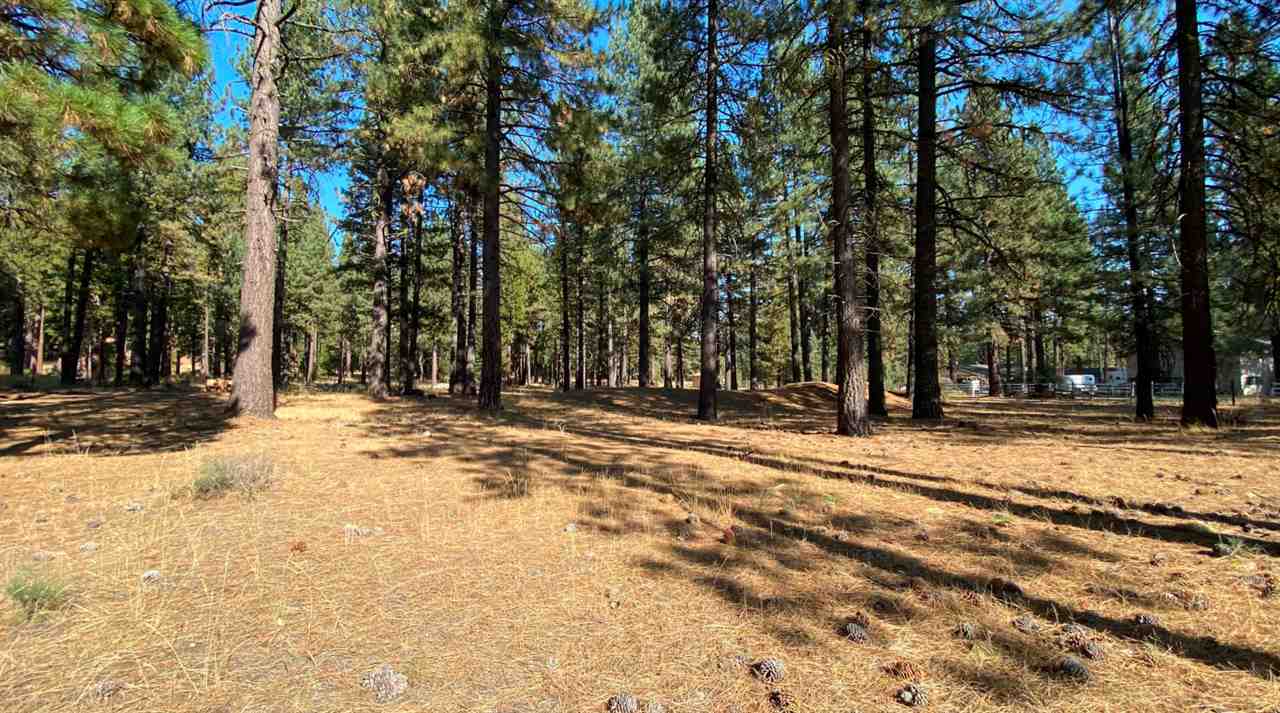 361 Clio State 40A Road Clio, CA 96106 - Photo 19 of 19 Gallery Image 19