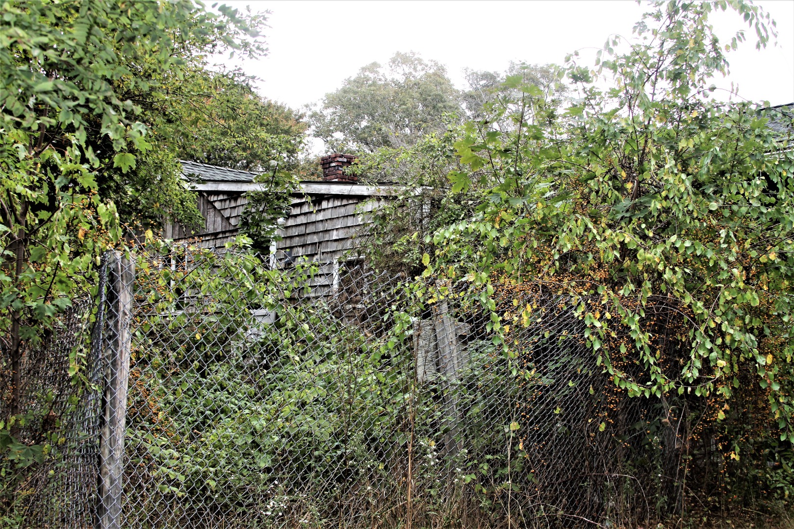 25 Andrews Road Vineyard Haven, MA 02568 - Photo 12 of 14 Gallery Image 12