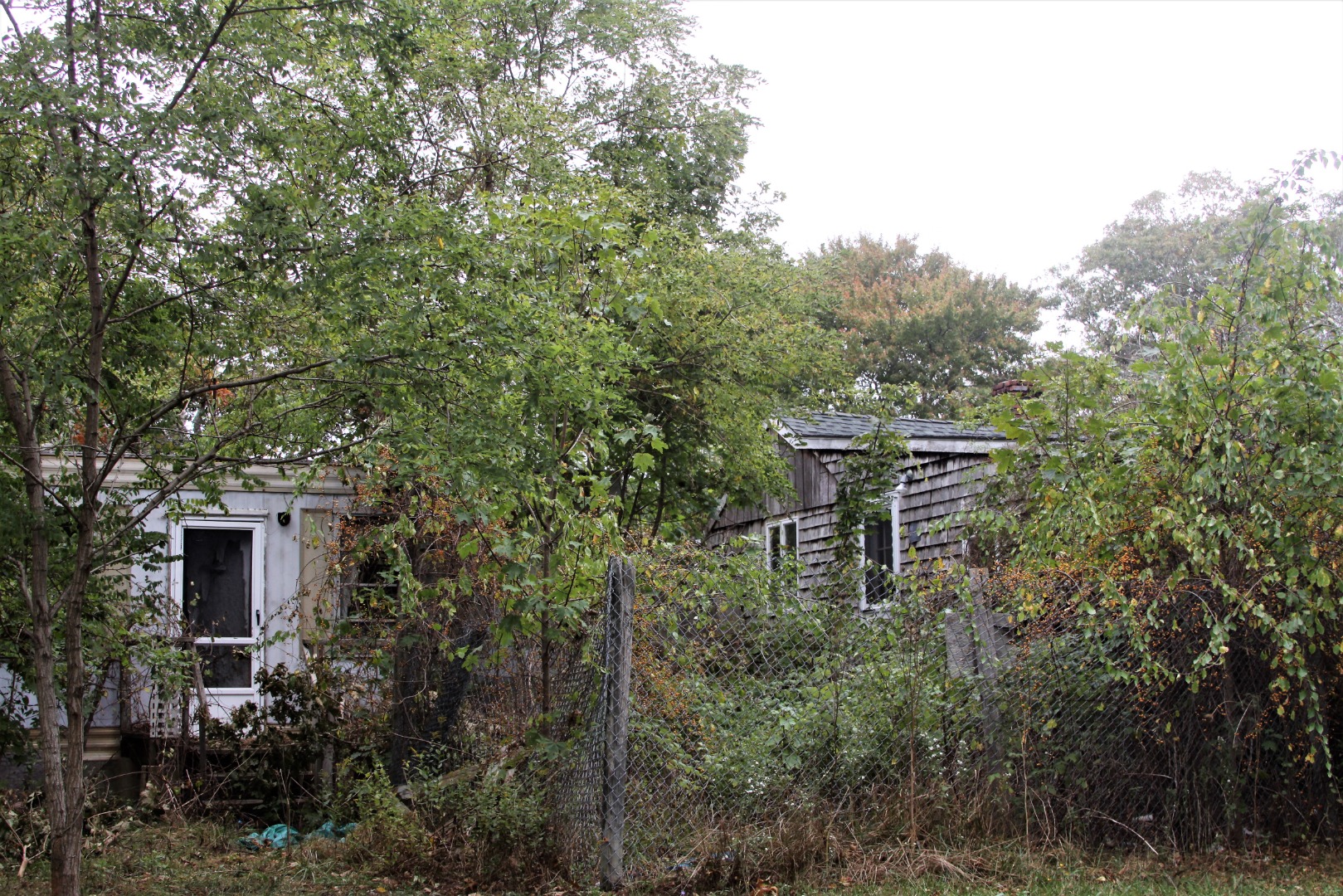 25 Andrews Road Vineyard Haven, MA 02568 - Photo 9 of 14 Back wooded area