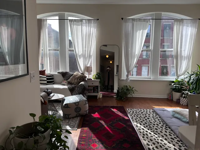 a room with furniture and potted plants