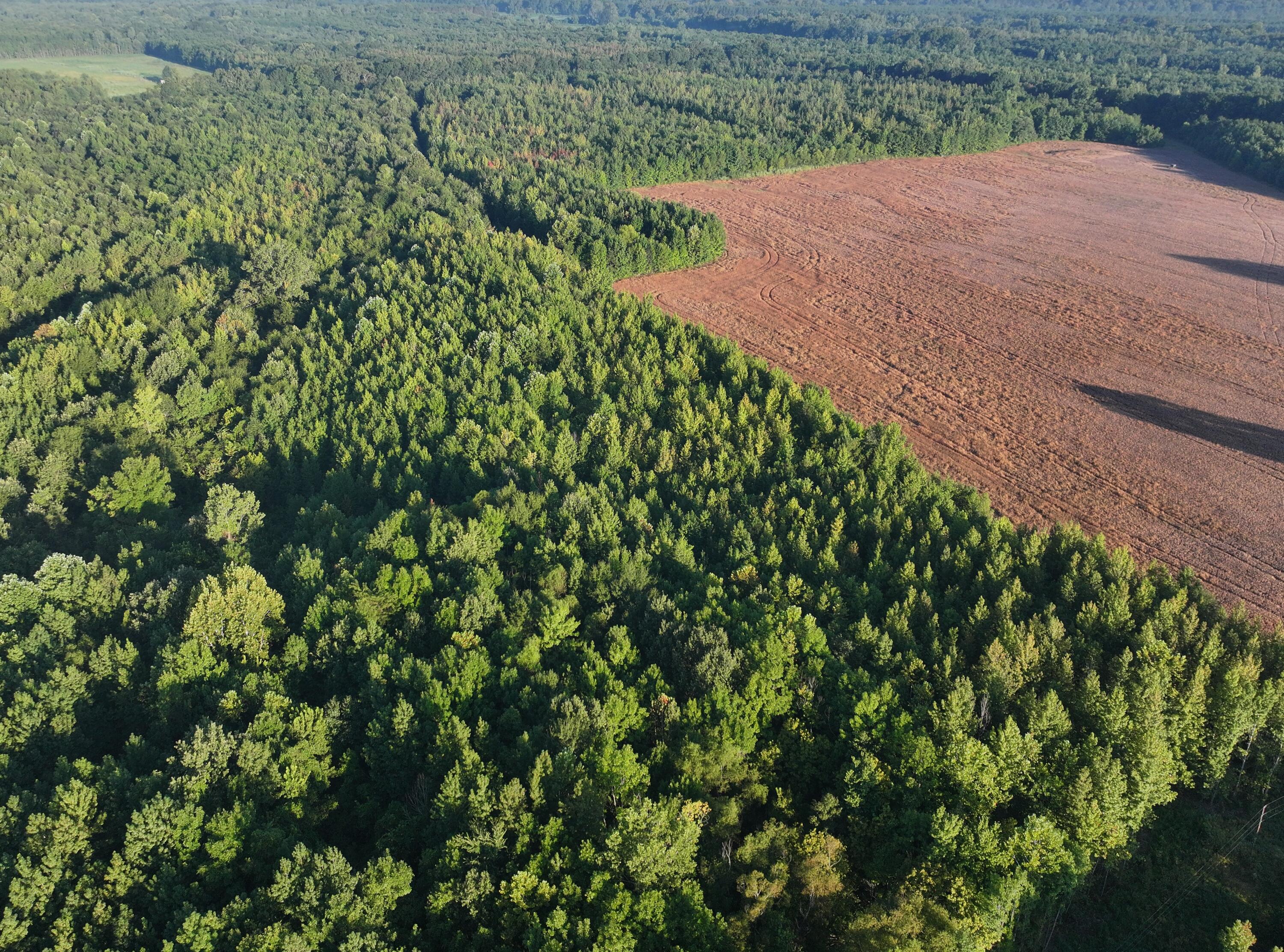 87 County Road New Albany, MS 38652 - Photo 17 of 17 Gallery Image 17