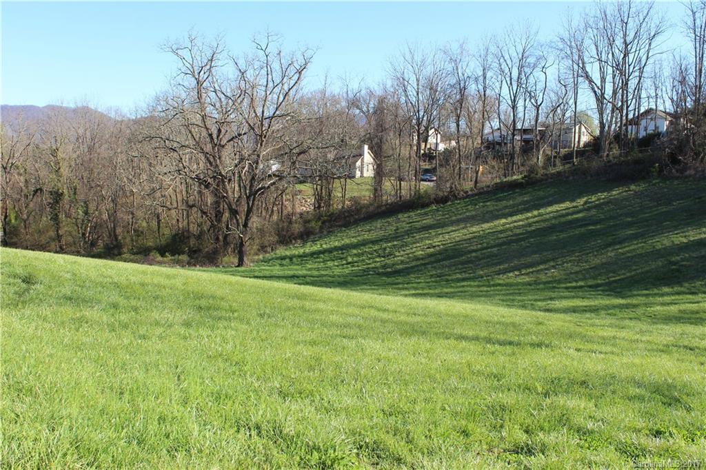26 Star Ridge Road Canton, NC 28716 - Photo 13 of 17 a view of a field of grass and trees