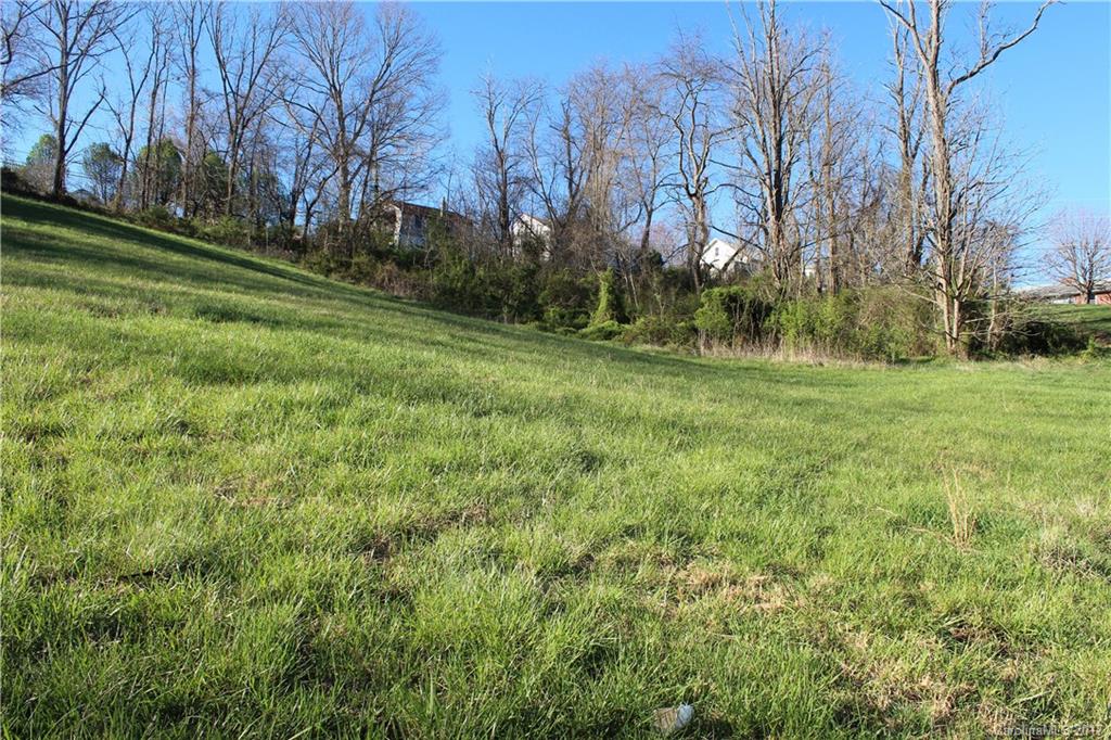 26 Star Ridge Road Canton, NC 28716 - Photo 4 of 17 a view of a field of grass and trees