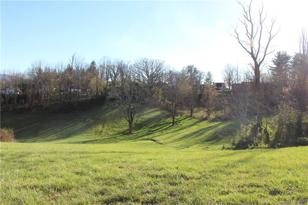 26 Star Ridge Road Canton, NC 28716 - Photo 10 of 17 a view of a yard with a tree