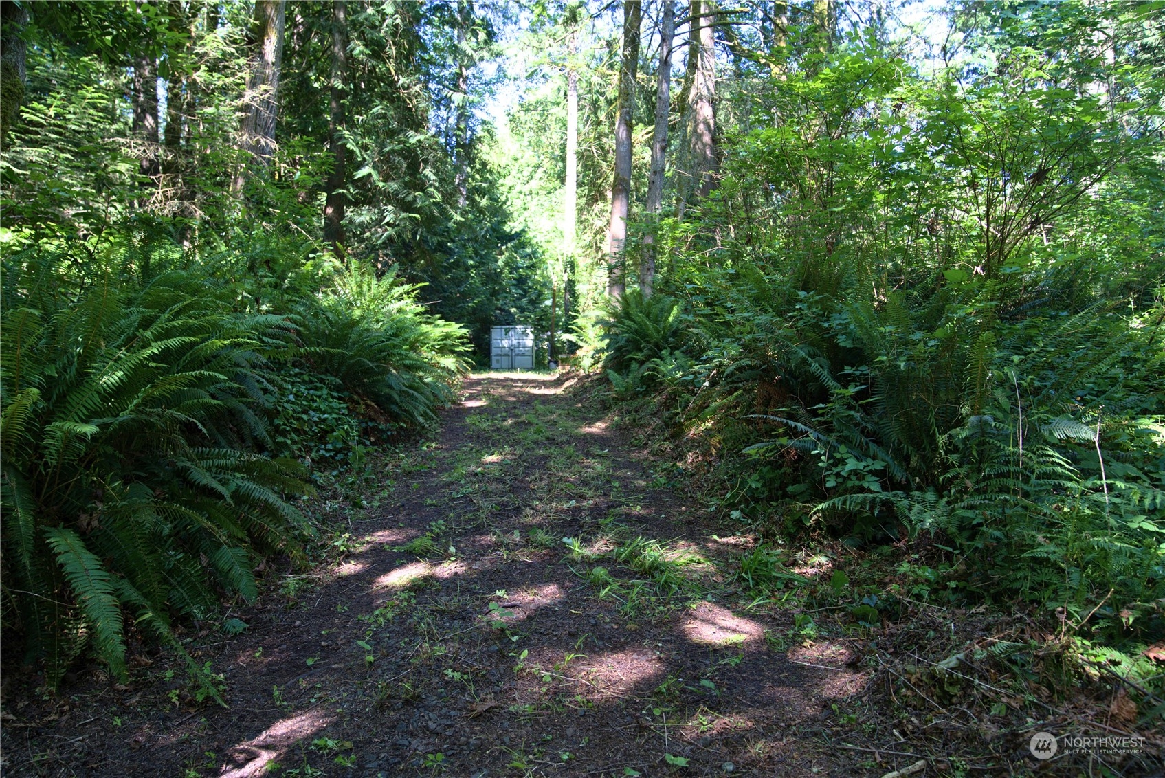 19313 Harris Avenue Northeast Suquamish, WA 98392 - Photo 2 of 6 a view of a tree