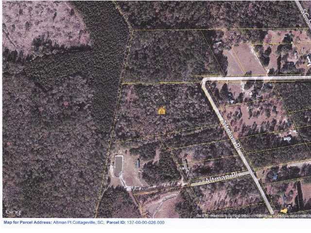 0 Altman Place Ridgeville, SC 29472 - Photo 1 of 2 Primary Photo