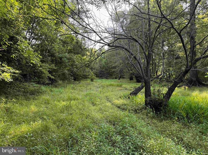 Sarecta Road Kenansville, NC 28349 - Photo 11 of 28