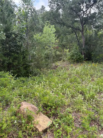 $40,000 | Tbd Kaena Lane, Bastrop, TX 78602