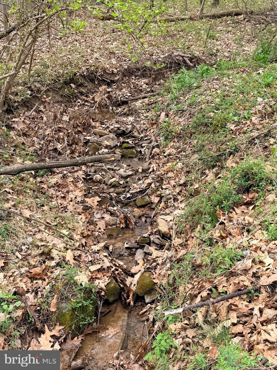 219 Mallard Run Road Warfordsburg, PA 17267 - Photo 64 of 75 wet weather stream