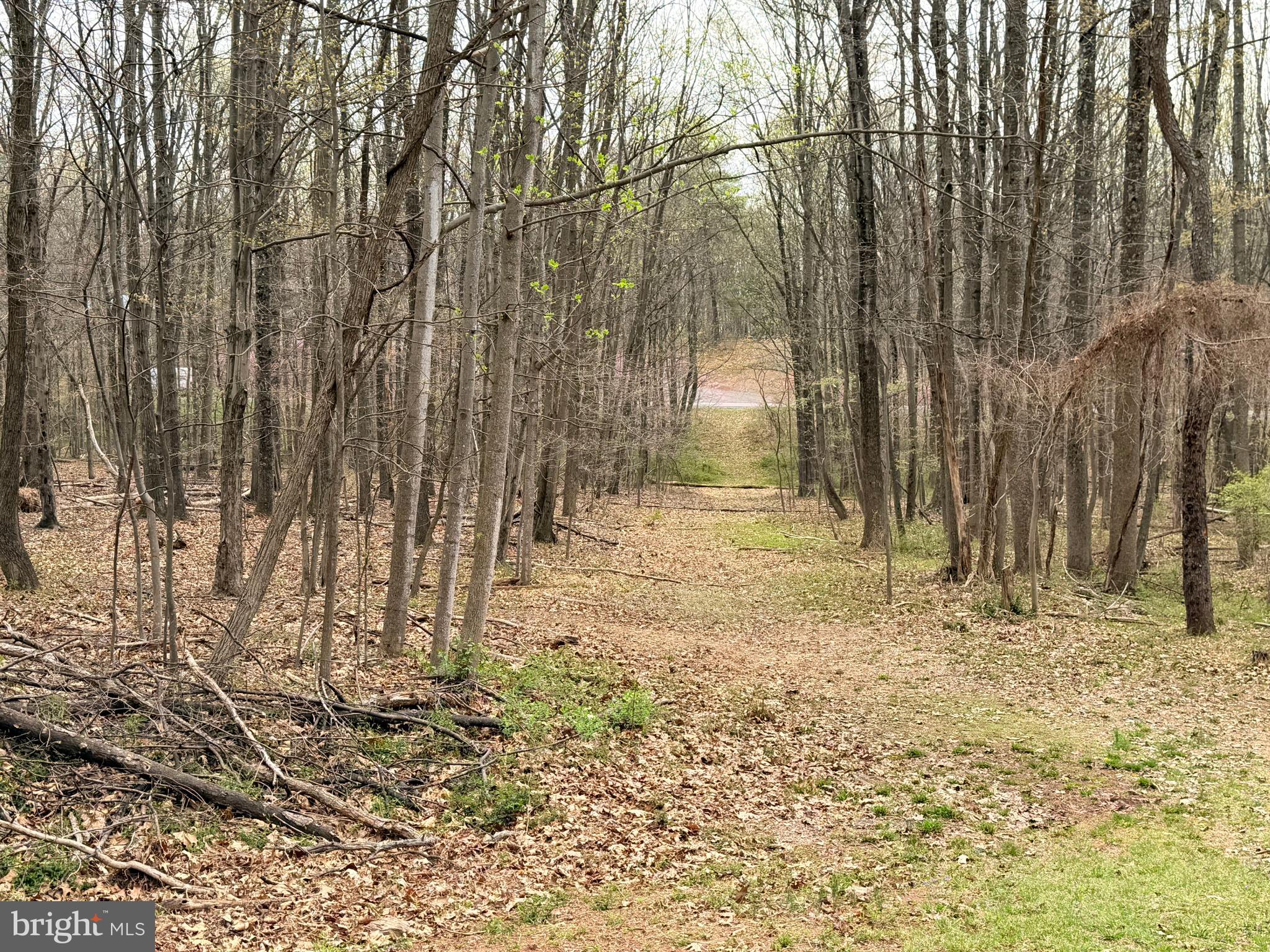 219 Mallard Run Road Warfordsburg, PA 17267 - Photo 65 of 75 Backs to Stoneybreak Rd