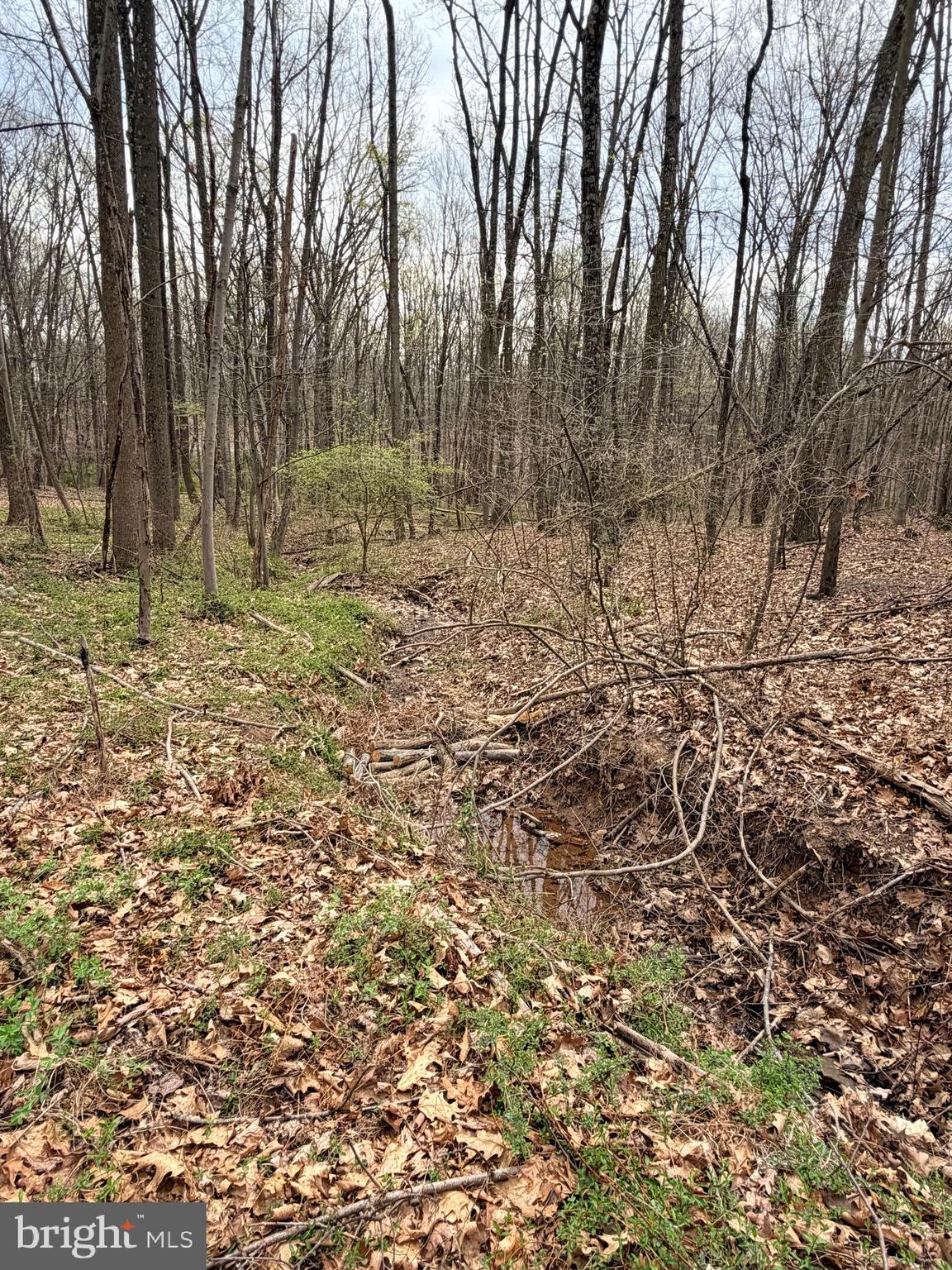 219 Mallard Run Road Warfordsburg, PA 17267 - Photo 66 of 75