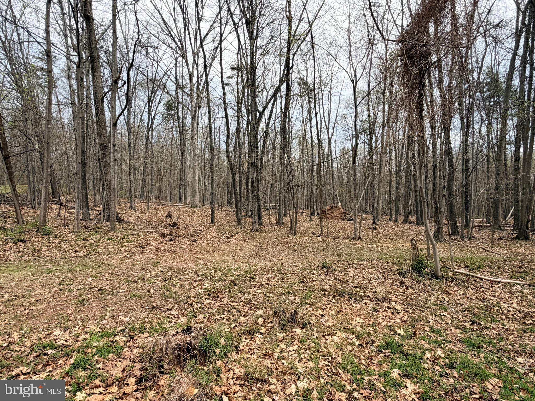 219 Mallard Run Road Warfordsburg, PA 17267 - Photo 67 of 75