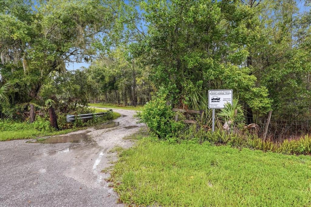 3500 Old Keystone Road Tarpon Springs, FL 34688 - Photo 85 of 97 Gallery Image 85