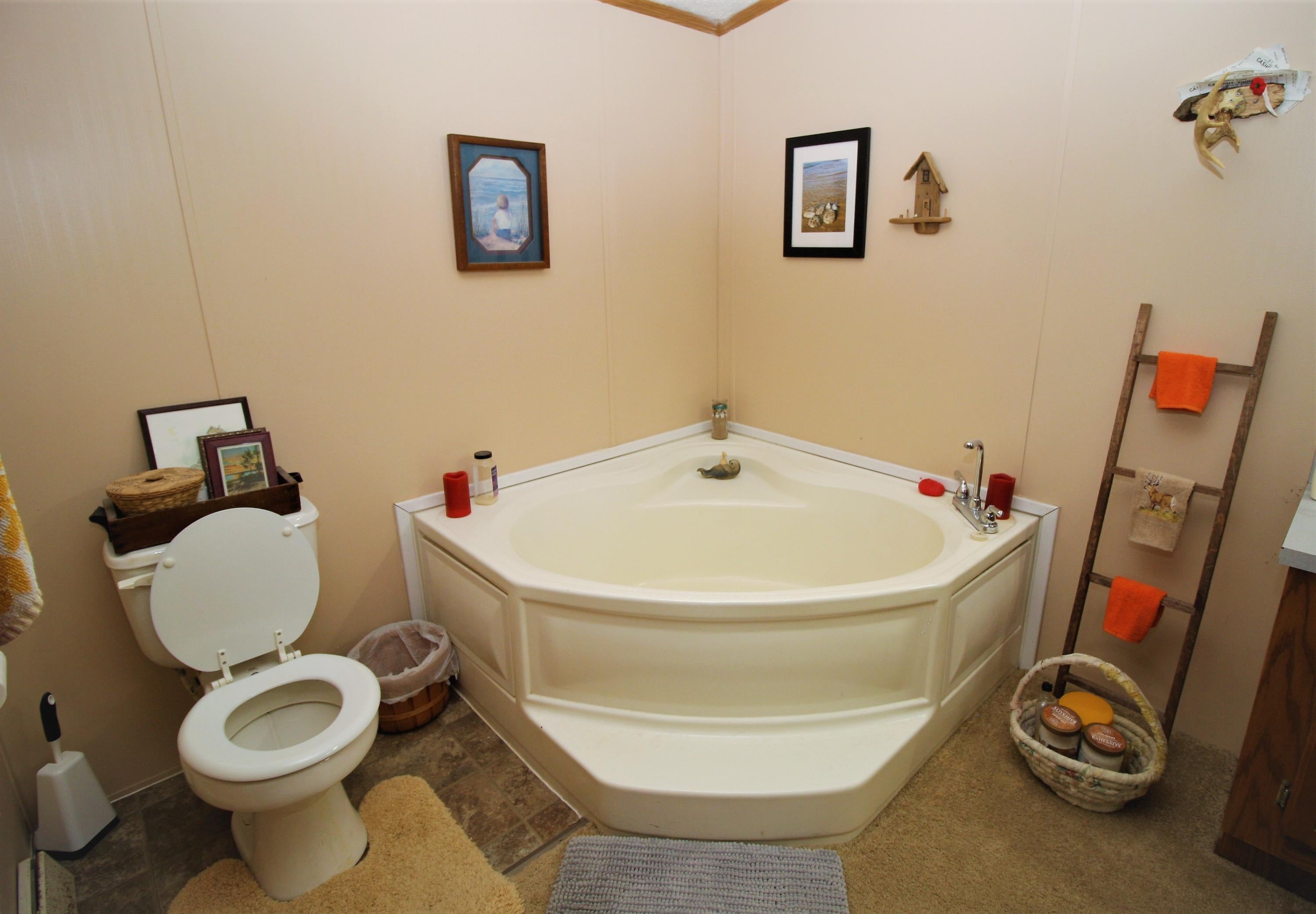 5706 Hayes Tower Road Gaylord, MI 49735 - Photo 10 of 27 Gallery Image 10