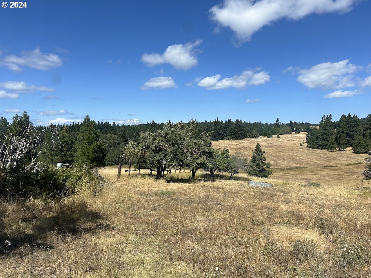 375 McGowan Road Lyle, WA 98635 - Photo 13 of 17 Gallery Image 13