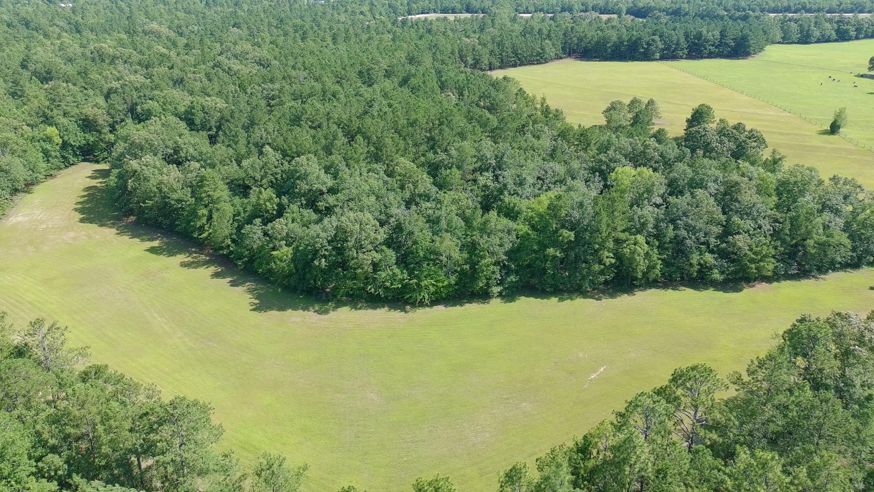 41-acres Whiskey Road Aiken, SC 29803 - Photo 32 of 44