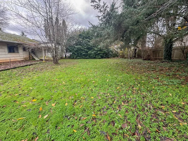a view of a backyard with large trees