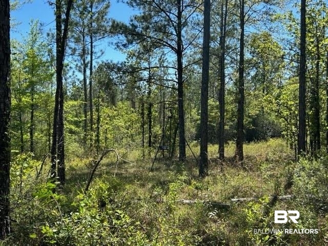 1150 Howardtown Road Tibbie, AL 36583 - Photo 16 of 17
