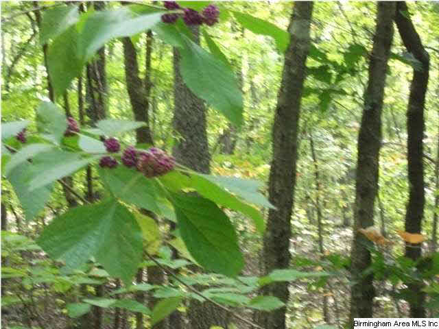 777 Clayton Cove Road, Unit 33 AC Pinson, AL 35126 - Photo 15 of 20