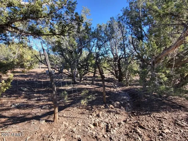 a view of a sky from a yard