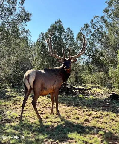 a view of a lake with a mountain in the background