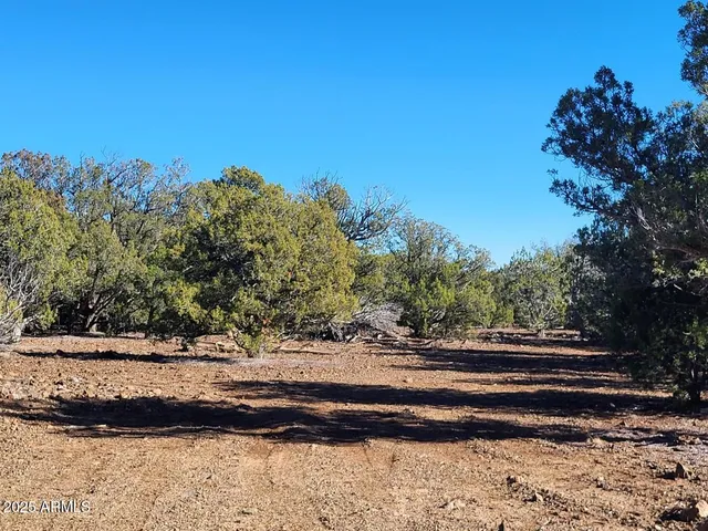 a view of a lush green hillside and a building